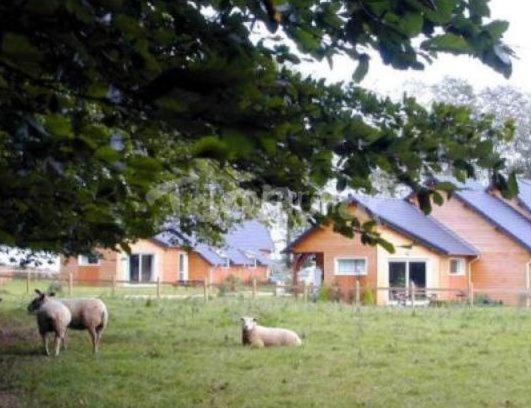 La Ferme Pillet Villa Berville-en-Caux Dış mekan fotoğraf